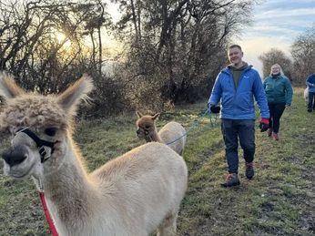 Outdoor Aktiv - Wanderung mit Alpakas Outdoor Aktiv - Wanderung mit Alpakas