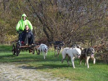 Outdoor Aktiv - Schlittenhundetouren Outdoor Aktiv - Schlittenhundetouren