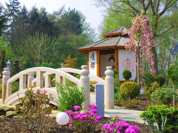 RILA erleben_Teehaus_Japan.jpg