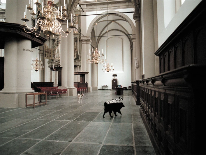 it_seems_that_an_animal...1.jpg Innenansicht einer großen Kirche mit hohen Säulen, Kronleuchtern und Hunden auf Steinboden.Interior view of a large church with high columns, chandeliers and dogs on a stone floor.Pohled do interiéru velkého kostela s vysokými sloupy, lustry a psy na kamenné podlaze.Widok wnętrza dużego kościoła z wysokimi kolumnami, żyrandolami i psami na kamiennej podłodze.Binnenzicht van een grote kerk met hoge zuilen, kroonluchters en honden op een stenen vloer.Vista interna di una grande chiesa con alte colonne, lampadari e cani su un pavimento di pietra.