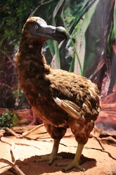 IMG_1560.JPG