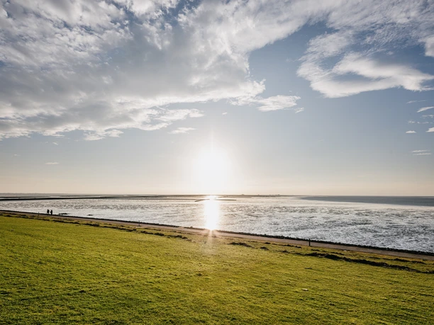 Nordfriesland_Reußenköge_MR_240222_94