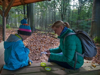 Geocaching in der Wingst, Urlaubsregion Cuxland