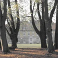 Historisches Gutshaus in Cadenberge, umgeben von altem Baumbestand im herbstlichen Gutspark.