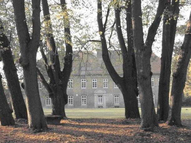 Historisches Gutshaus in Cadenberge, umgeben von altem Baumbestand im herbstlichen Gutspark.