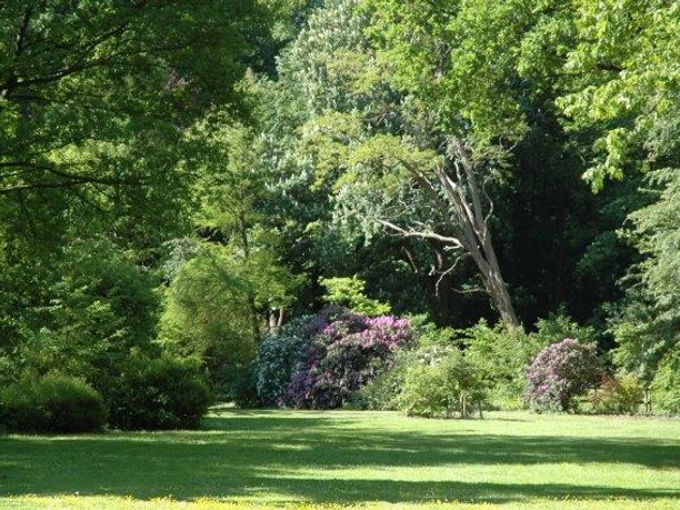 Weitläufiger Park mit alten Bäumen, blühenden Rhododendren und sonnigen Wiesen in Cadenberge.