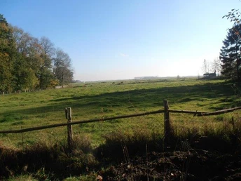 Cadenberge Wiesen Weite grüne Wiesen bei Cadenberge mit Holzzaun im Vordergrund und Bäumen am sonnigen Horizont