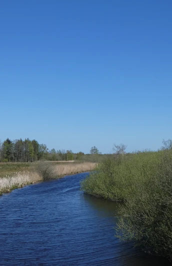 Flögelner Kanal am Ahlenmoor