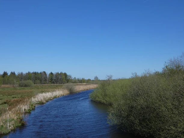 Flögelner Kanal am Ahlenmoor