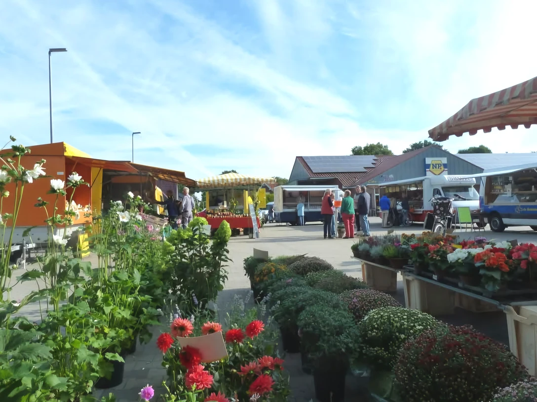 Wochenmarkt in Wahnbek Blumenmarkt mit farbenfroher Auswahl an der frischen Luft, Menschen genießen sonniges Wetter.