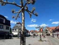 Historischer Marktplatz Oberursel (Ts.)