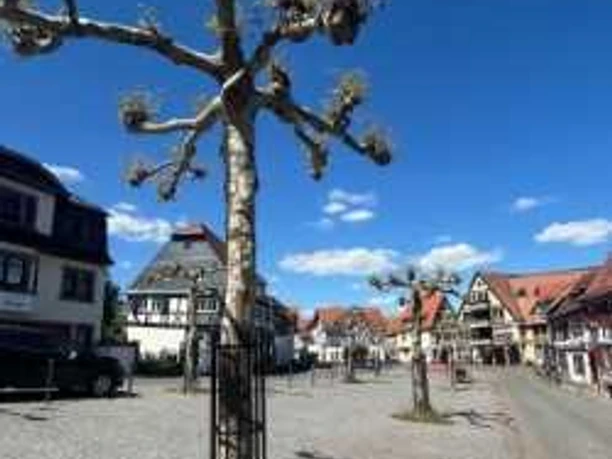 Historischer Marktplatz Oberursel (Ts.)