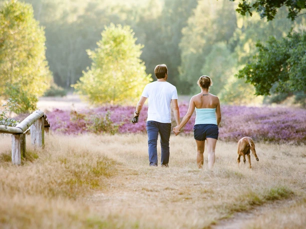 Graeberfeld-4700.jpg Wanderer im Pestruper Gräberfeld