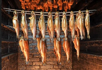 fisch-im-räucheroffen.png