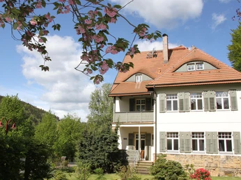 Die Villa Elbufer von der Gartenseite