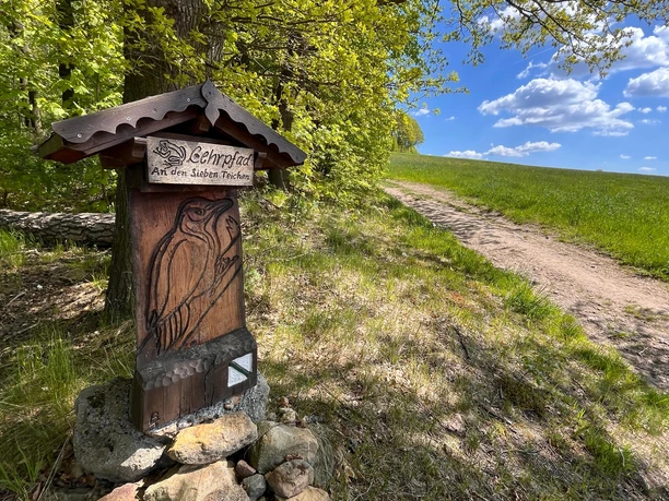 Holzschnitt Buntspecht