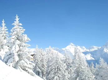 318fdf78-19bd-4aae-92a5-6d06404387d1