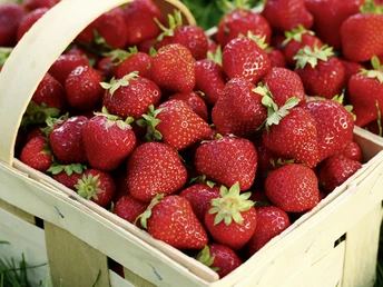 Regionale Produkte auf der Obstlandenrunde