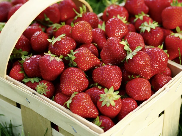 Regionale Produkte auf der Obstlandenrunde