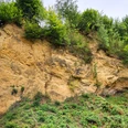 Steiler Hang aus Sandstein in natürlicher Umgebung, bewachsen mit Bäumen und Sträuchern oben.