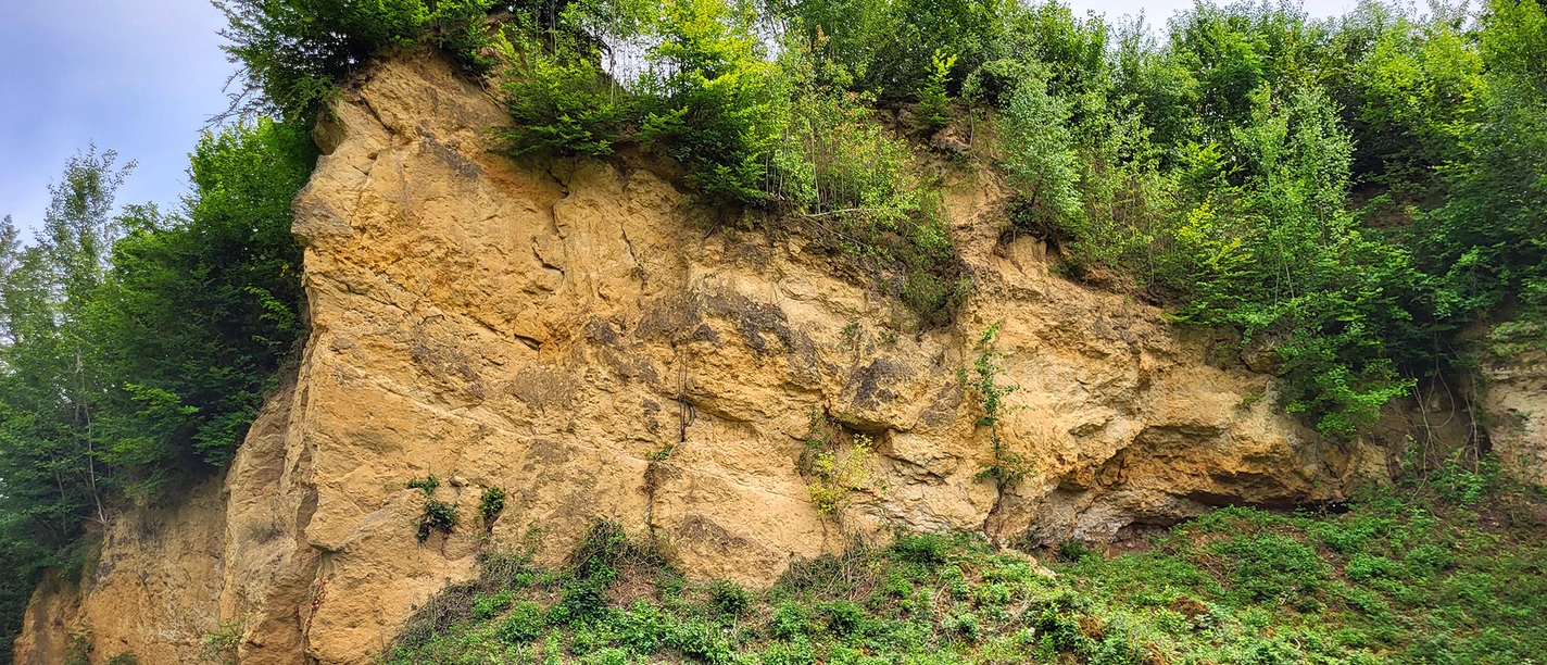 Steiler Hang aus Sandstein in natürlicher Umgebung, bewachsen mit Bäumen und Sträuchern oben.
