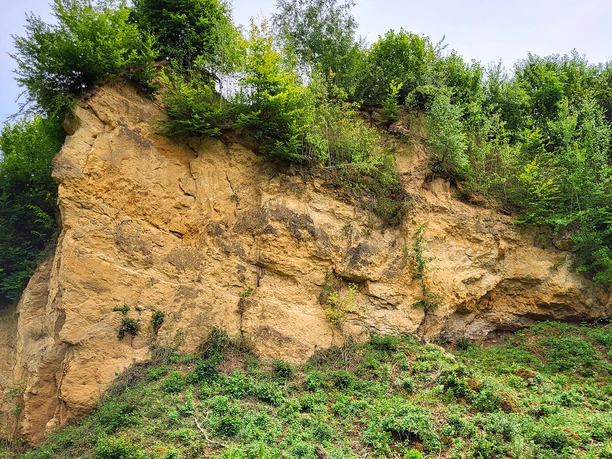 poi-1_doberg-steilhang.jpg Steiler Hang aus Sandstein in natürlicher Umgebung, bewachsen mit Bäumen und Sträuchern oben.