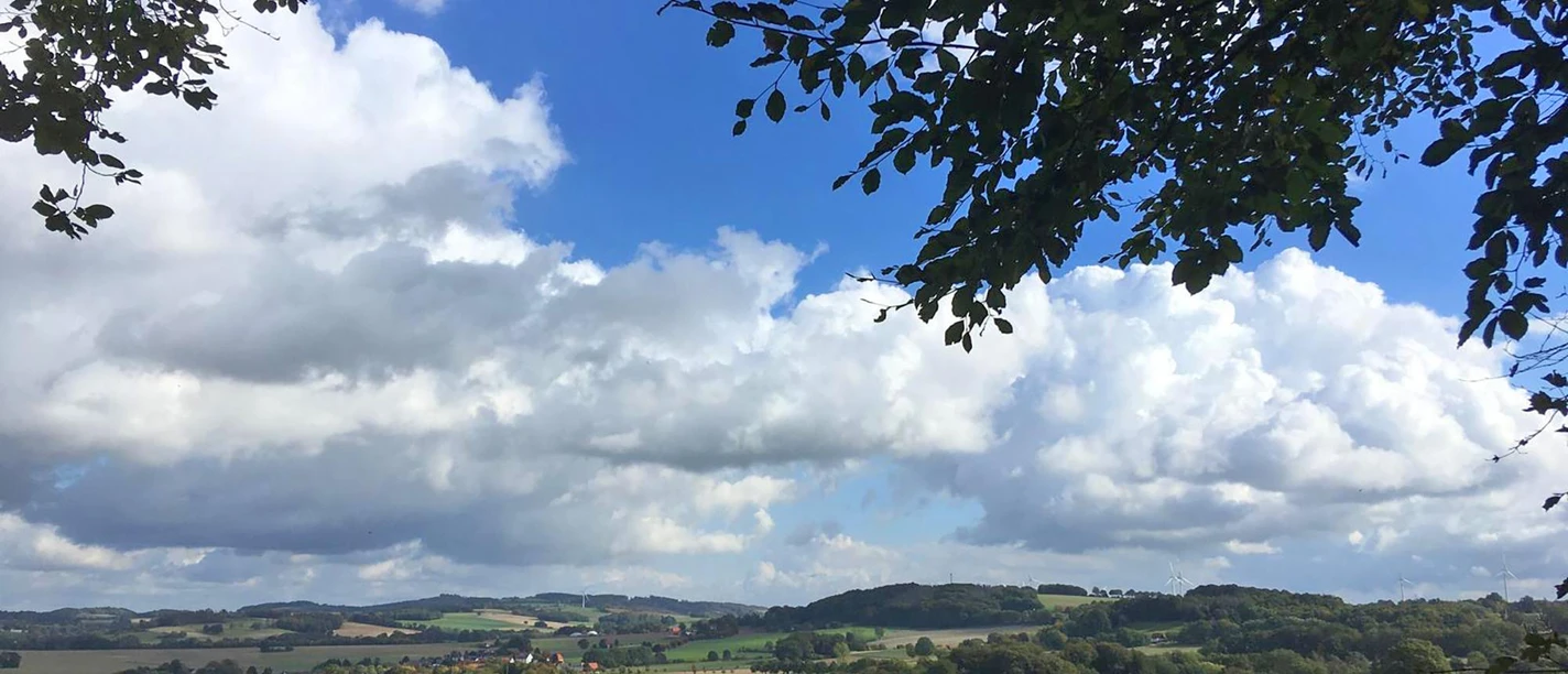 Weitblick über Felder und Hügel bei Bad Salzuflen, gerahmt von Baumkronen