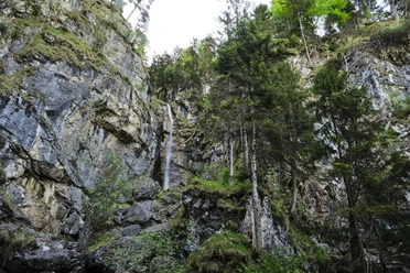 Wasserfall Oberau Ein hoher Wasserfall fällt an Felsen neben dichtem Wald herab.
