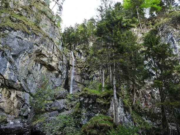 Wasserfall Oberau Ein hoher Wasserfall fällt an Felsen neben dichtem Wald herab.