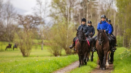stockhornhof-reiten-pferde-gruppe-feldweg.jpg