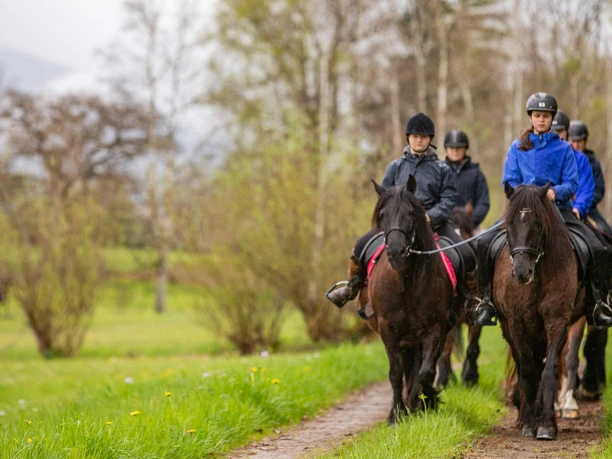 stockhornhof-reiten-pferde-gruppe-feldweg.jpg