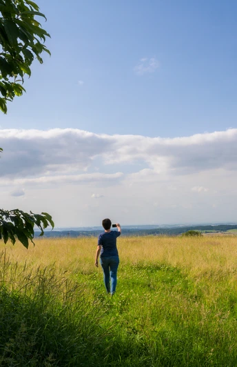 Oberhalb vom Lennetal Gruener Bachtal