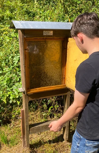 Natur-Erlebnis-Weg Iba (West-Flügel)