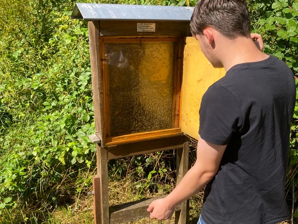 Natur-Erlebnis-Weg Iba (West-Flügel)