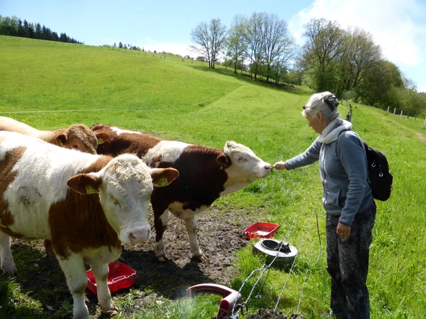 Natur-Erlebnis-Weg Iba (West-Flügel)