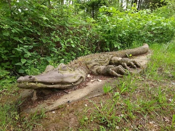 Ars Natura Spangenberg Krokodil2