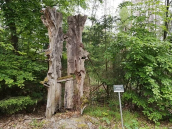 Ars Natura Spangenberg7