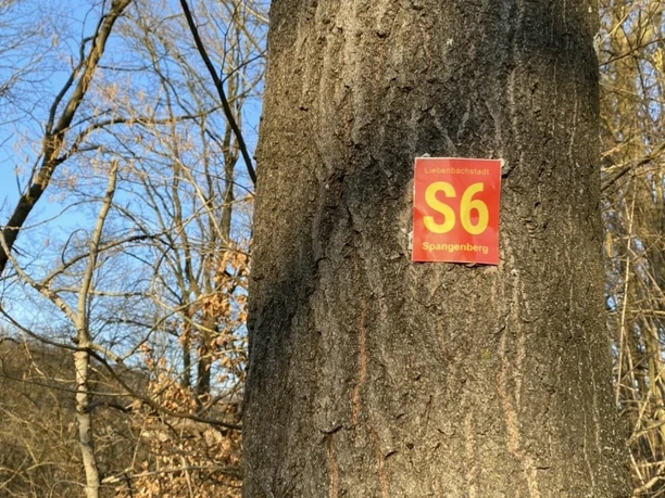 Spangenberg S6