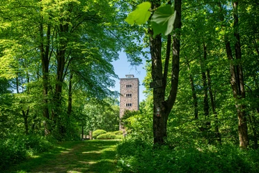 Alheimer_Frühsommer_Quer_Urheber EMF_Stefan Bochenek