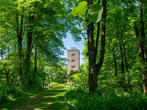 Alheimer_Frühsommer_Quer_Urheber EMF_Stefan Bochenek