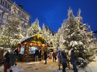 Christmas Forest at the Goslar Christmas Market