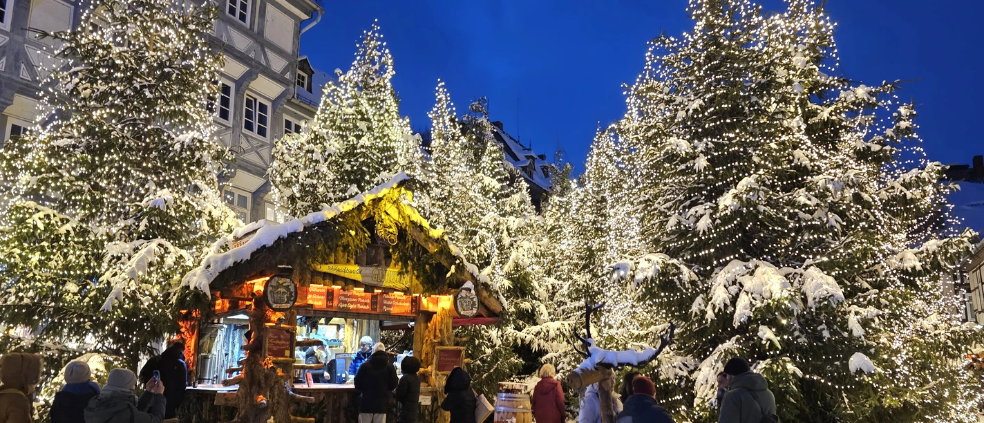 Kerstbos op de kerstmarkt van Goslar