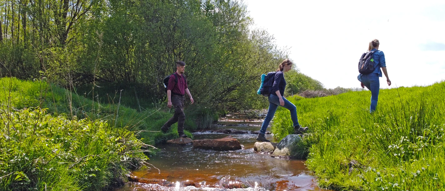 Oheüberquerung nahe Börger, Wandern Ohetalrunde ©Naturpark Hümmling (17).jpg Drei Wandernde überqueren einen flachen Bach auf Steinen in grüner, sonnendurchfluteter Landschaft.