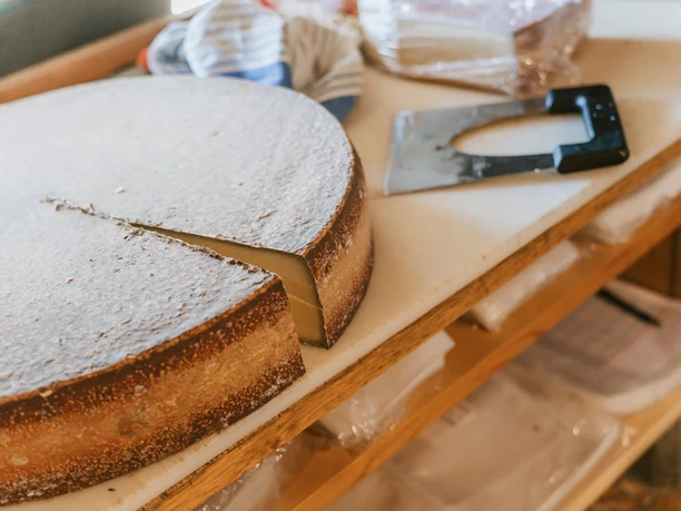 Landwirtschaft_Alp Schlacht_Sörenberg_Laila Bosco (35).jpg