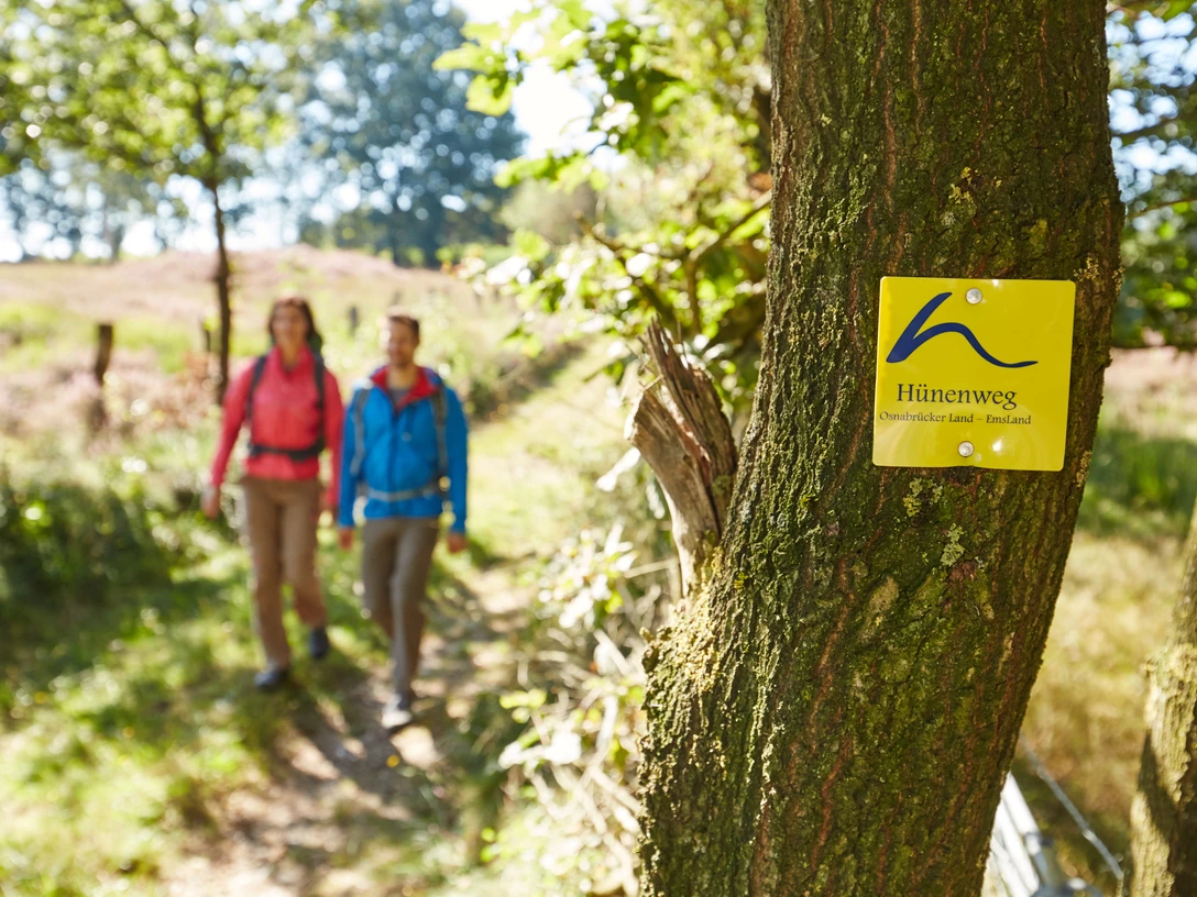 Grabhügelfeld Mansenberge bei Sögel ©Naturpark Hümmling, Marcus Gloger (196).jpg