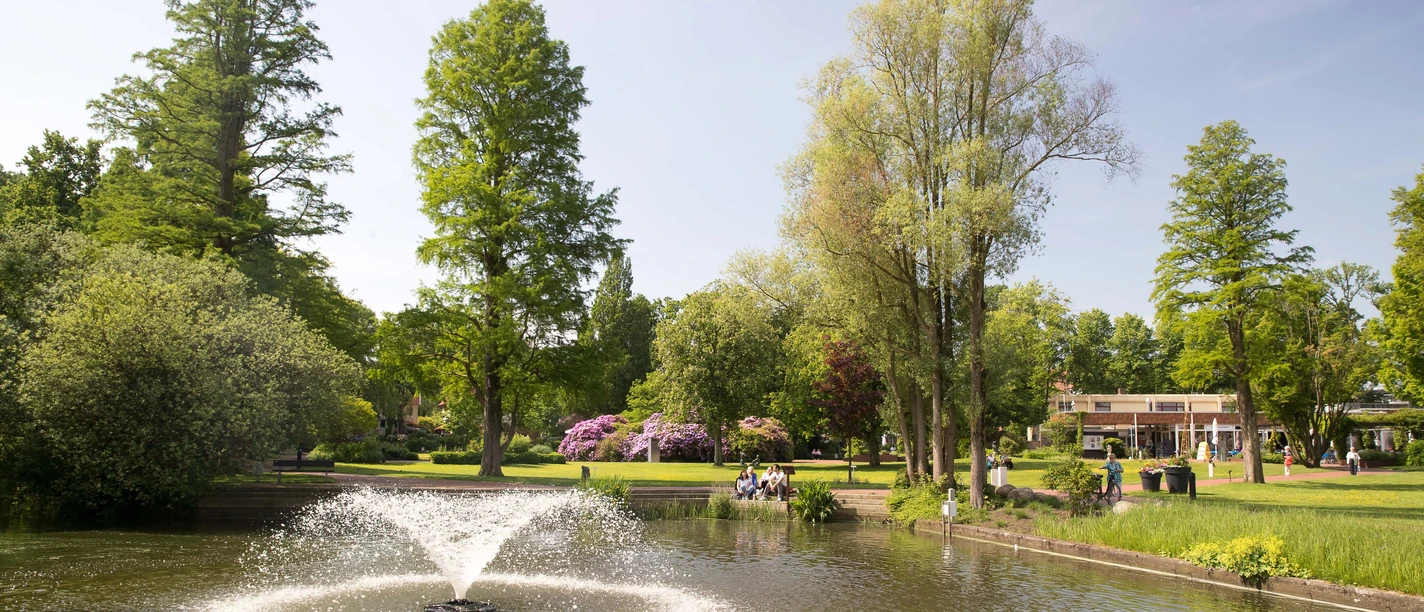 Springbrunnen im Zwischenahner Kurpark im Sommer