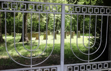 Jüdischer Friedhof Falkenstein (HeikoRhode.190520_6).jpg