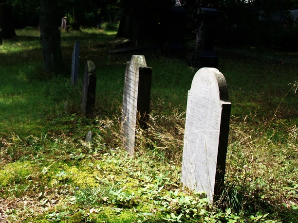 Der jüdische Friedhof Falkenstein (CB.P8055845b.5.8.2016.314).jpg