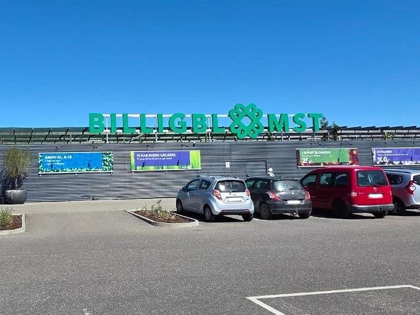 BilligBlomst-Sønderborg-udefra-2