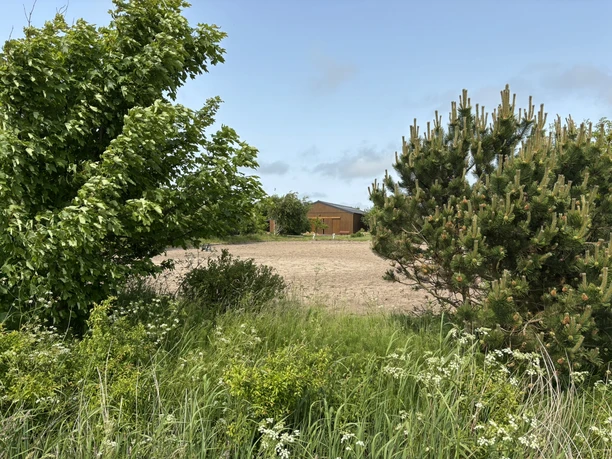 Reitschule Olivenhof Reitplatz